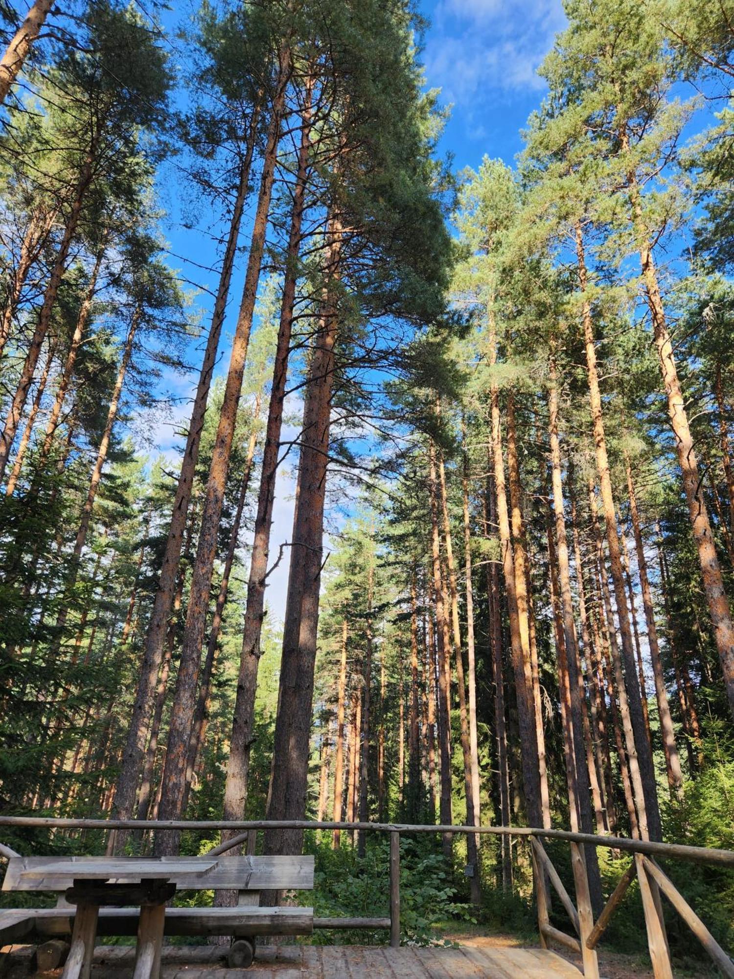 One Bedroom Apartment Pirin Lodge บันสโก ภายนอก รูปภาพ