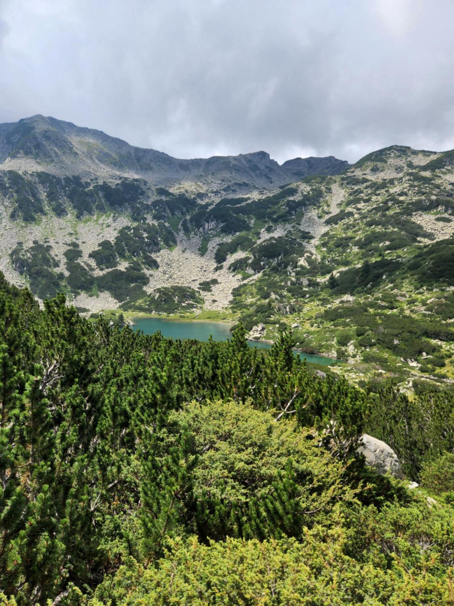 One Bedroom Apartment Pirin Lodge บันสโก ภายนอก รูปภาพ